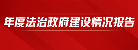 年度法治政府建設情況報告